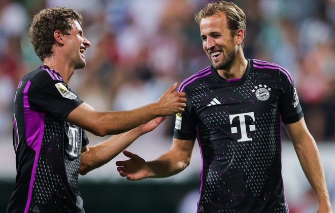 系统化的培 系统化的培